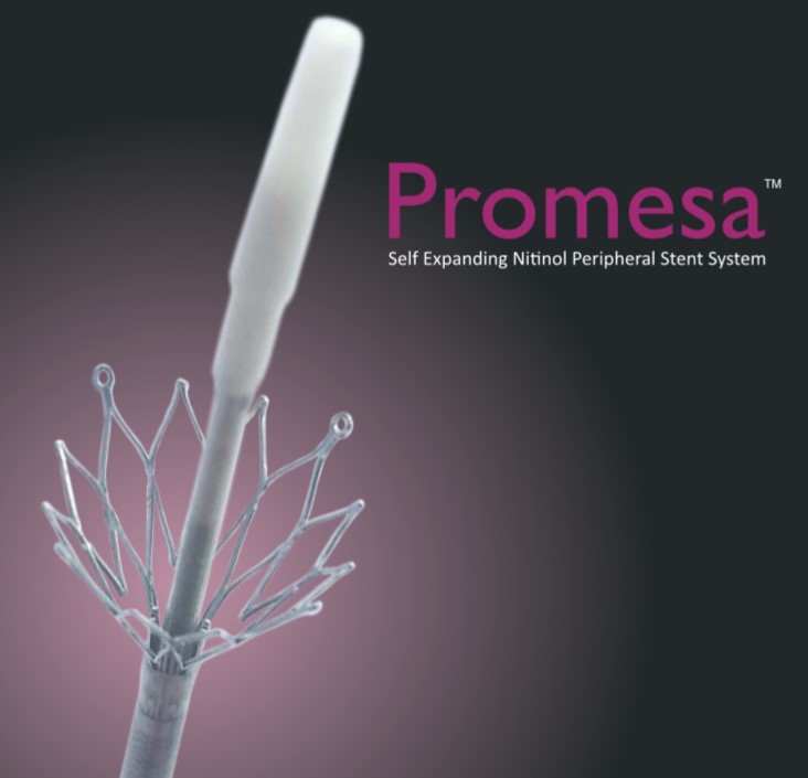 Stent Rima Interventional Cardiology • Mediterra • View the product range